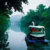 Thay Doi Gia Ve MEDDOM Park 2024 3