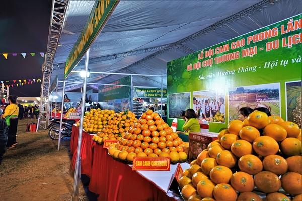 Những quả cam Cao Phong tươi ngon được trưng bày tại lễ hội, thu hút sự chú ý của khách tham quan.