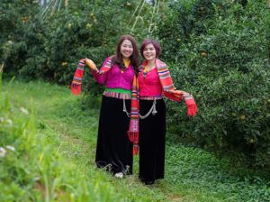 Du khách check in tại vườn Cam Hòa Bình