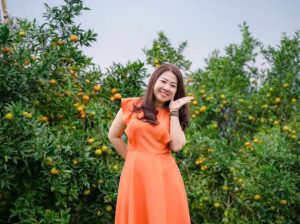 Du khách thích thú check-in giữa vườn cam Cao Phong vàng óng