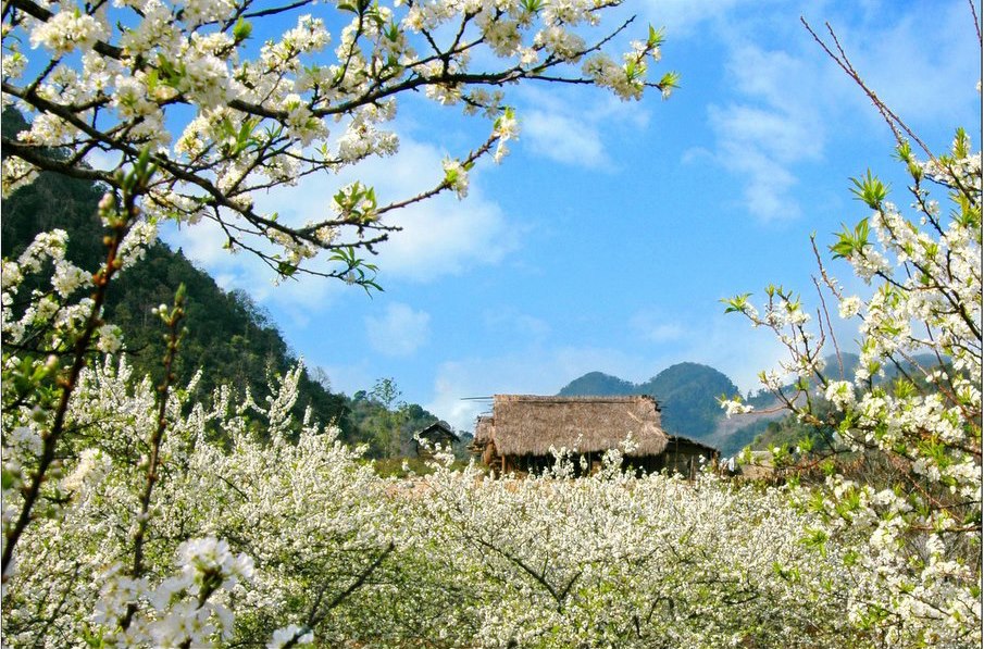 Du lịch Tây Bắc
