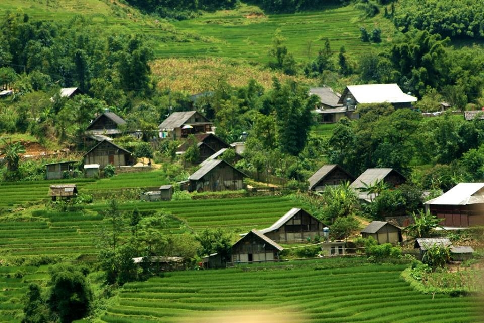 Hòa bình có gì chơi