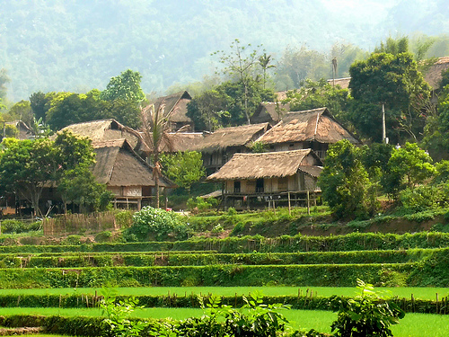 Nhà sàn Mường