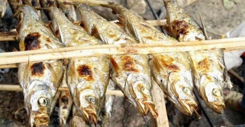 ca suoi nuong hoa binh