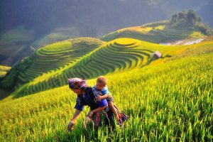Du lịch Tây Bắc